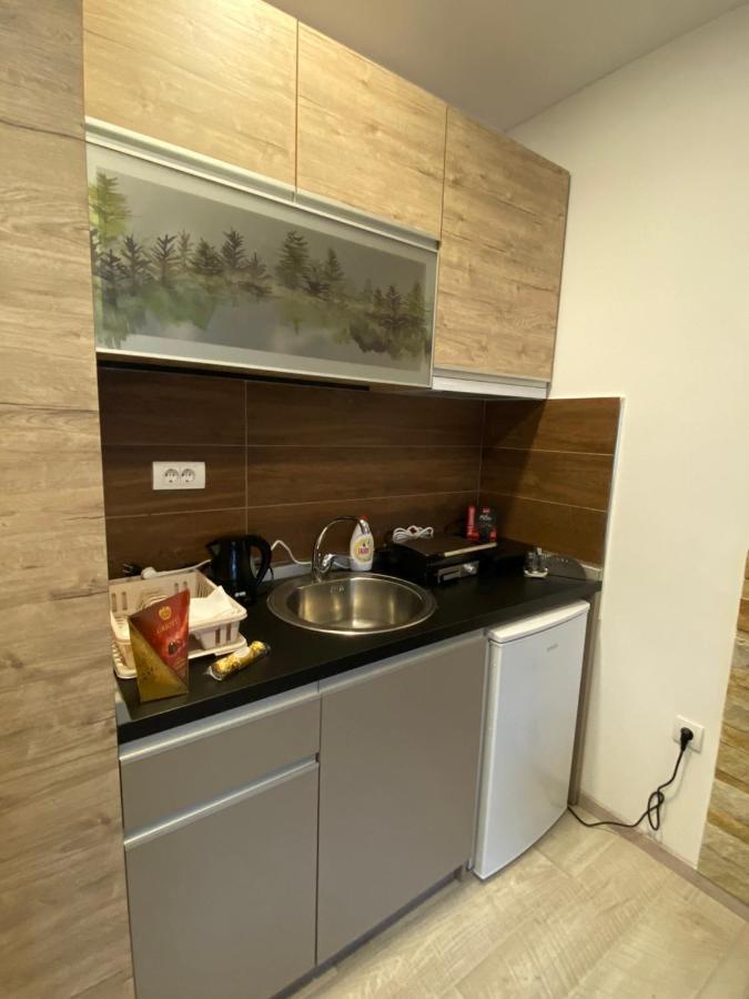 Kopaonik Apartmani Milmari - Katic Exterior photo